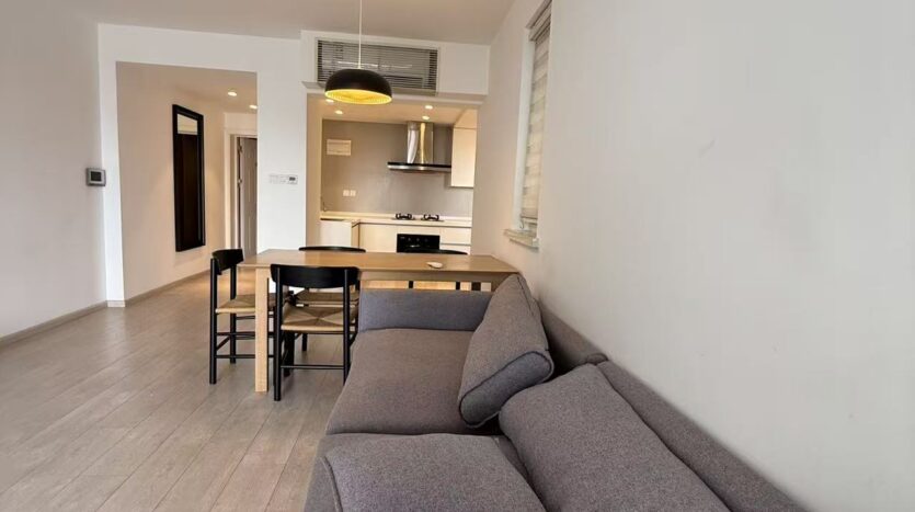 Living room, modern Shanghai-style renovation, Xuhui apartment