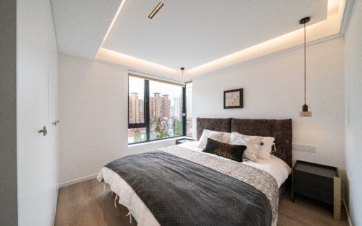 Modern 2BR Luxury Apartment for Rent in Central Xujiahui