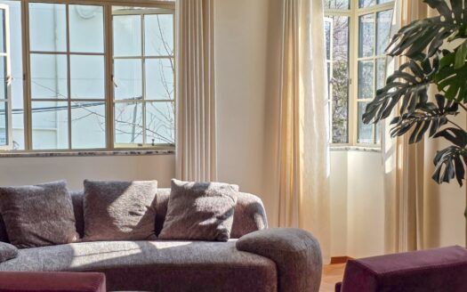 1+1BR Apartment for Rent, Former French Concession — Xinkang Garden, Near IAPM